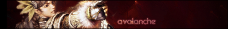 Avalanche Banner